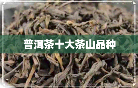 普洱茶十大茶山品种