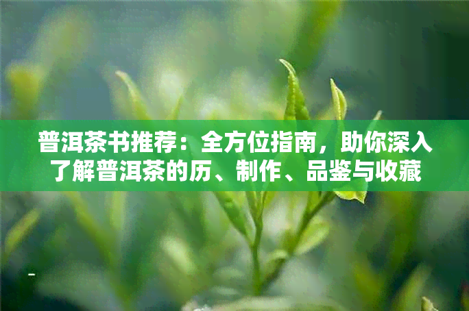 普洱茶书推荐：全方位指南，助你深入了解普洱茶的历、制作、品鉴与收藏