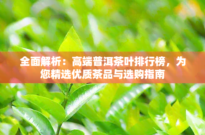 全面解析：高端普洱茶叶排行榜，为您精选优质茶品与选购指南