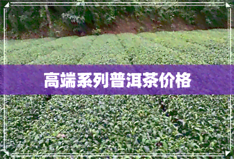 高端系列普洱茶价格