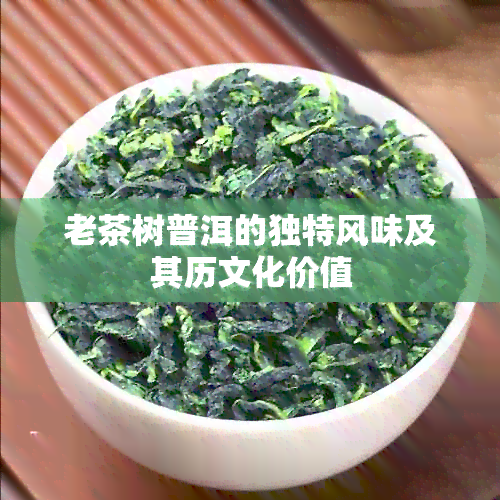 老茶树普洱的独特风味及其历文化价值