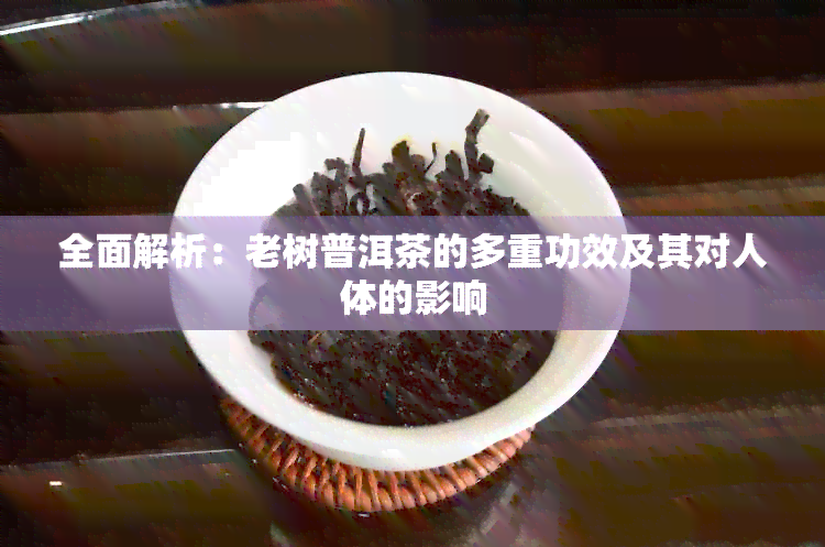 全面解析：老树普洱茶的多重功效及其对人体的影响