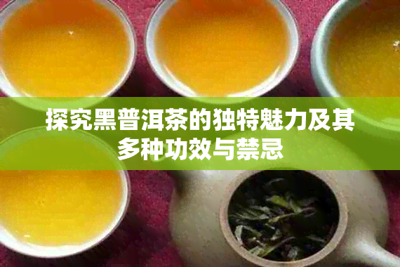 探究黑普洱茶的独特魅力及其多种功效与禁忌