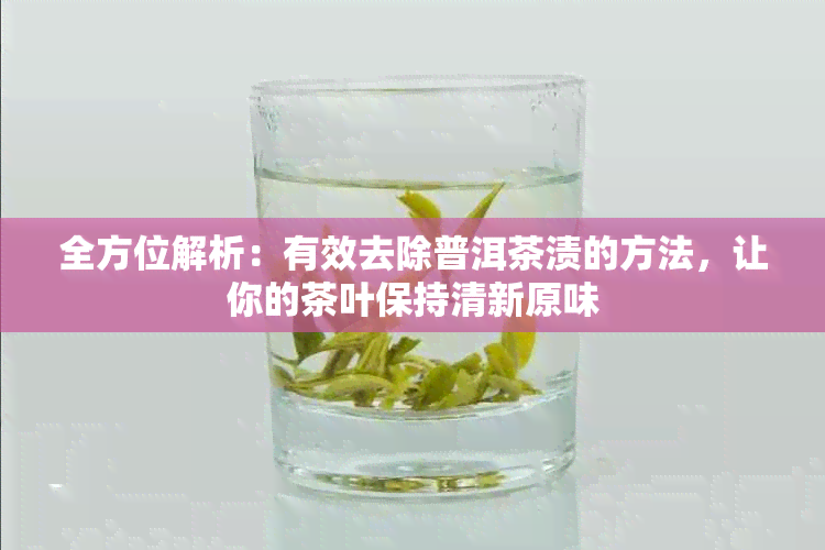 全方位解析：有效去除普洱茶渍的方法，让你的茶叶保持清新原味