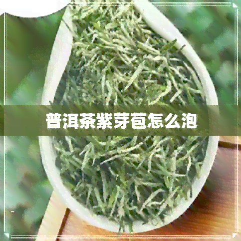 普洱茶紫芽苞怎么泡