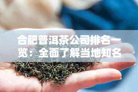 合肥普洱茶公司排名一览：全面了解当地知名茶叶及质量评价