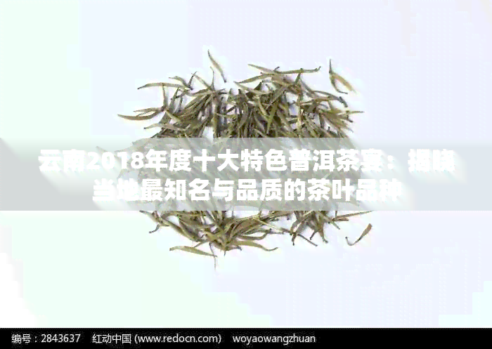 云南2018年度十大特色普洱茶宴：揭晓当地最知名与品质的茶叶品种