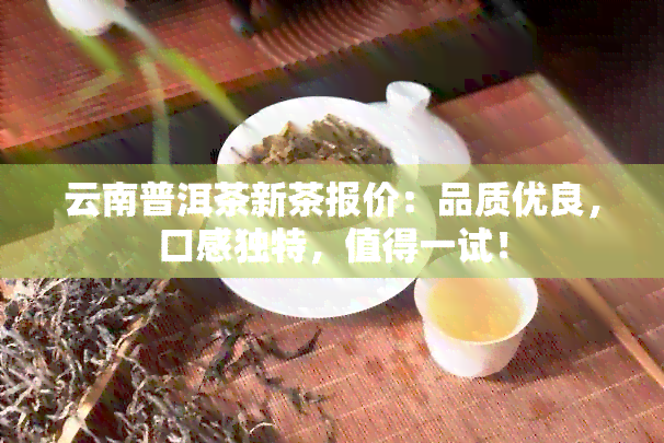 云南普洱茶新茶报价：品质优良，口感独特，值得一试！