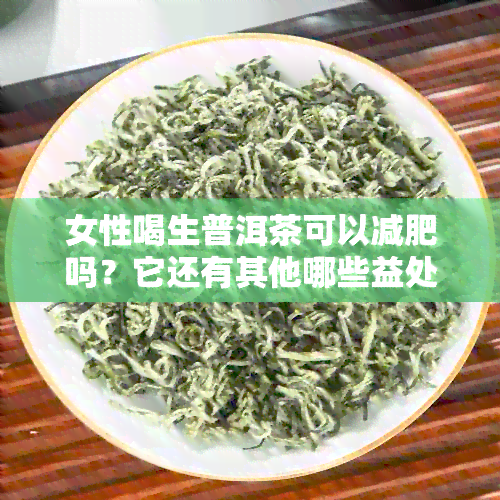 女性喝生普洱茶可以减肥吗？它还有其他哪些益处和注意事项？