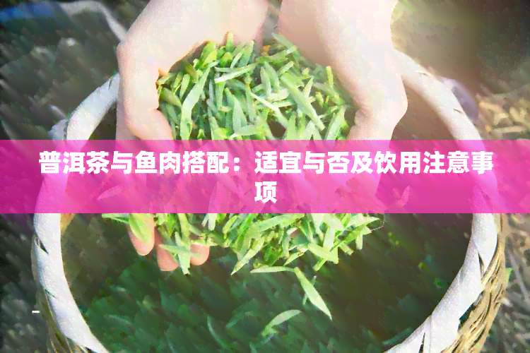 普洱茶与肉搭配：适宜与否及饮用注意事项