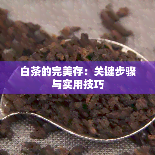 白茶的完美存：关键步骤与实用技巧