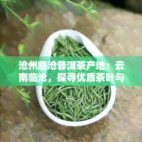 沧州临沧普洱茶产地：云南临沧，探寻优质茶叶与生产厂家