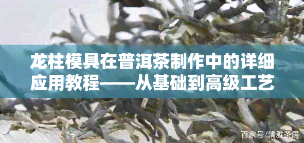 龙柱模具在普洱茶制作中的详细应用教程——从基础到高级工艺全过程详解