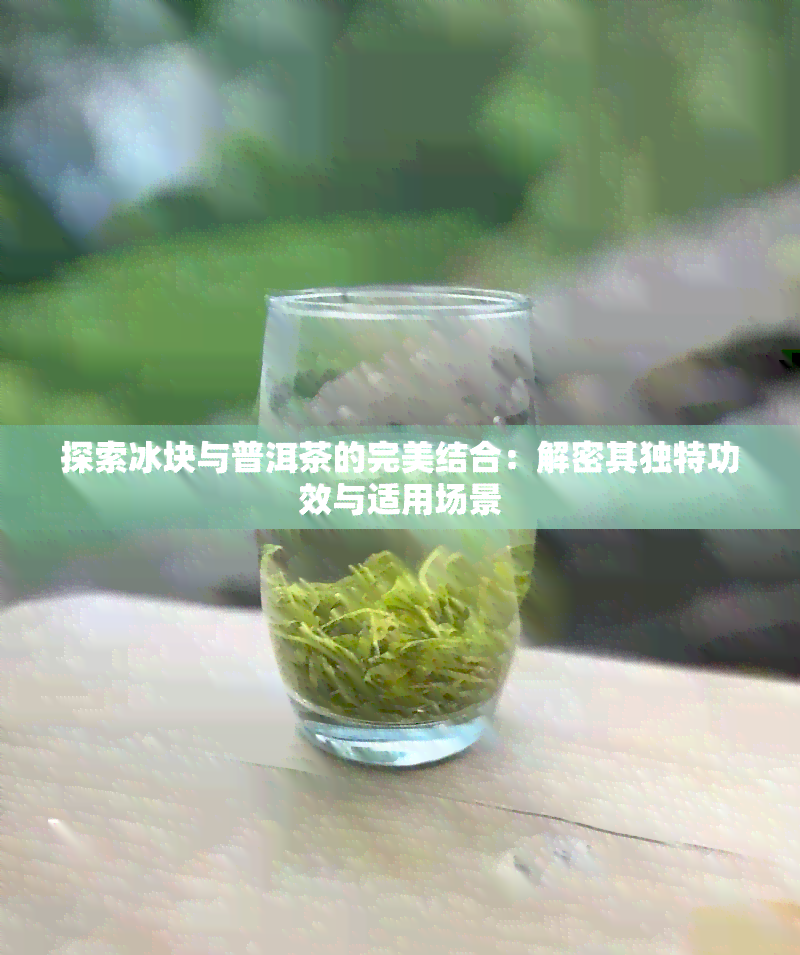 探索冰块与普洱茶的完美结合：解密其独特功效与适用场景