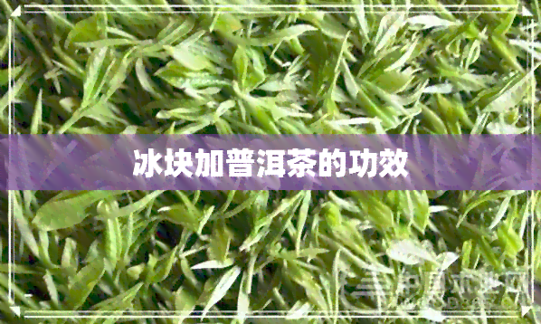 冰块加普洱茶的功效