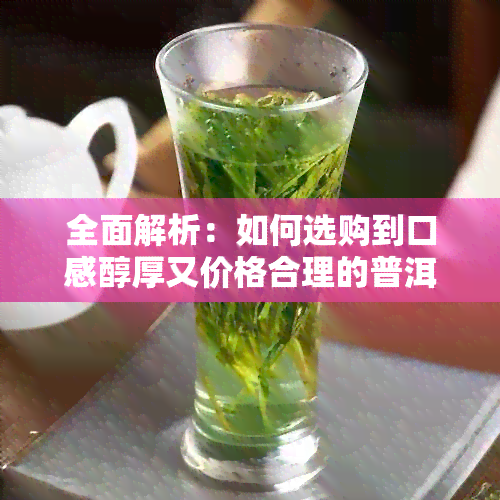 全面解析：如何选购到口感醇厚又价格合理的普洱茶？