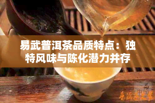 易武普洱茶品质特点：独特风味与陈化潜力并存