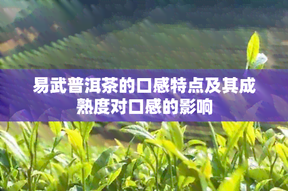 易武普洱茶的口感特点及其成熟度对口感的影响