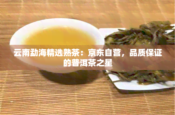 云南勐海精选熟茶：京东自营，品质保证的普洱茶之星