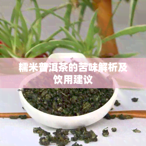 糯米普洱茶的苦味解析及饮用建议