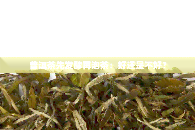 普洱茶先发酵再泡茶：好还是不好？