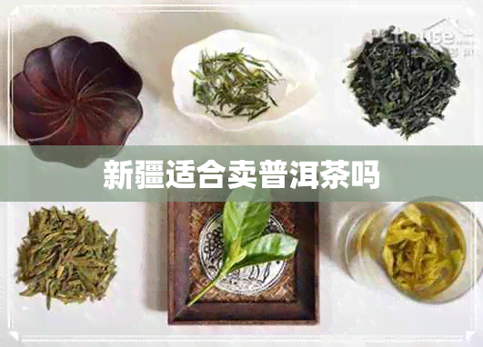 新疆适合卖普洱茶吗