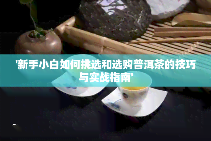 '新手小白如何挑选和选购普洱茶的技巧与实战指南'