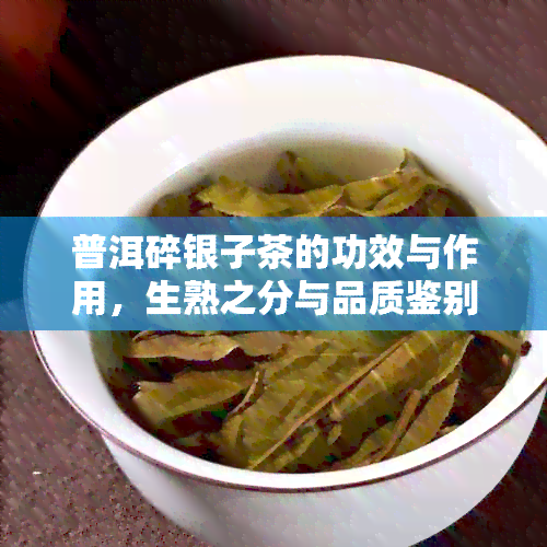 普洱碎银子茶的功效与作用，生熟之分与品质鉴别，你真的了解吗？