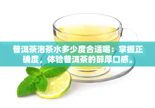 普洱茶泡茶水多少度合适喝：掌握正确度，体验普洱茶的醇厚口感。