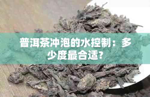 普洱茶冲泡的水控制：多少度最合适？