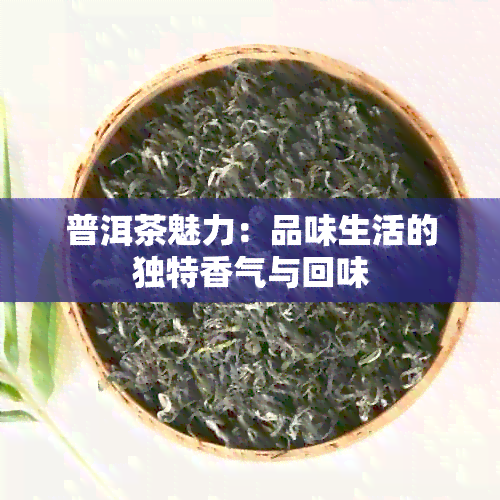 普洱茶魅力：品味生活的独特香气与回味