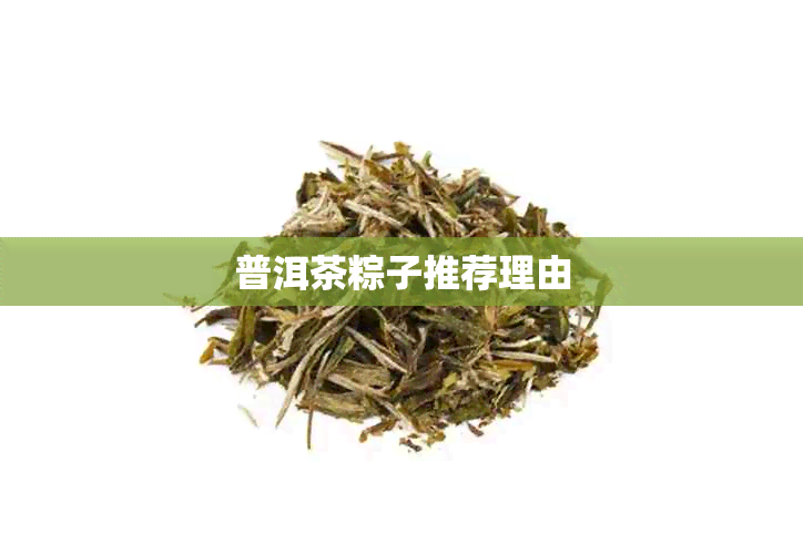 普洱茶粽子推荐理由