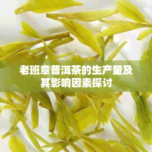 老班章普洱茶的生产量及其影响因素探讨