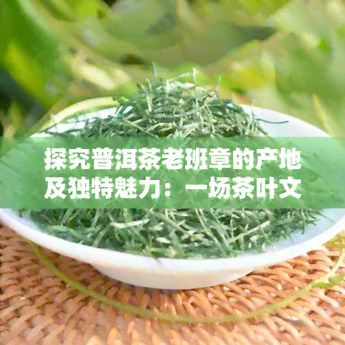 探究普洱茶老班章的产地及独特魅力：一场茶叶文化的深度解读