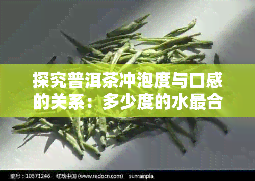 探究普洱茶冲泡度与口感的关系：多少度的水最合适？