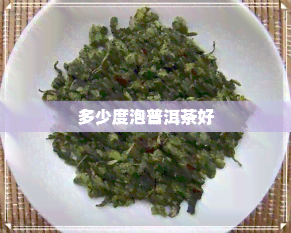 多少度泡普洱茶好