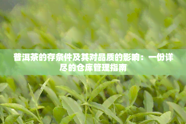 普洱茶的存条件及其对品质的影响：一份详尽的仓库管理指南