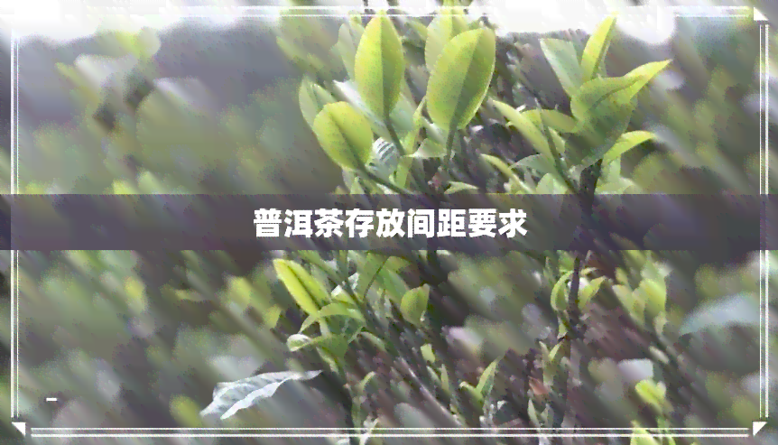 普洱茶存放间距要求