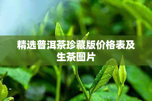 精选普洱茶珍藏版价格表及生茶图片