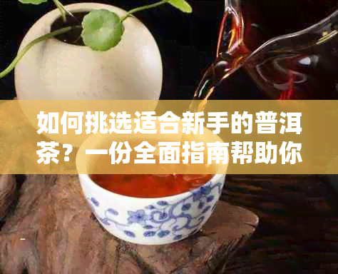 如何挑选适合新手的普洱茶？一份全面指南帮助你找到美味的新茶