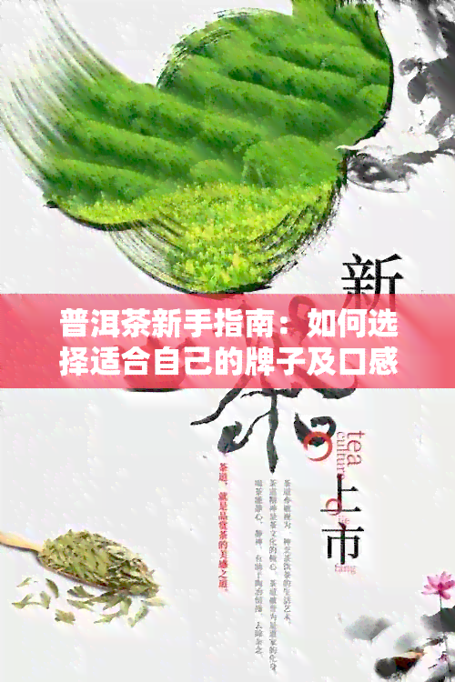 普洱茶新手指南：如何选择适合自己的牌子及口感