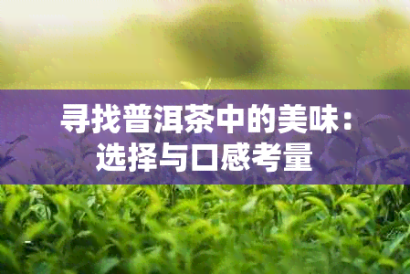 寻找普洱茶中的美味：选择与口感考量