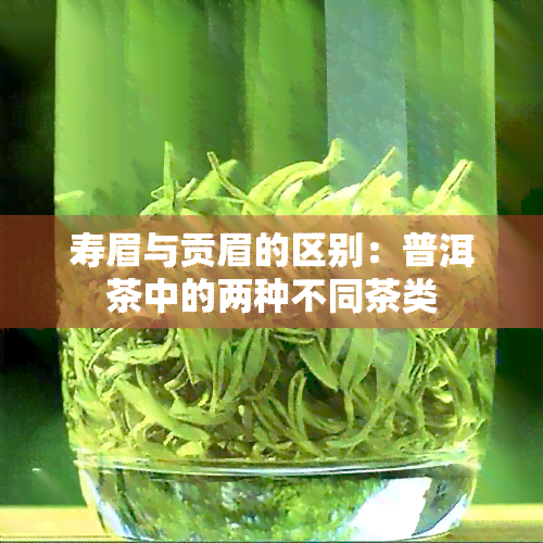 寿眉与贡眉的区别：普洱茶中的两种不同茶类