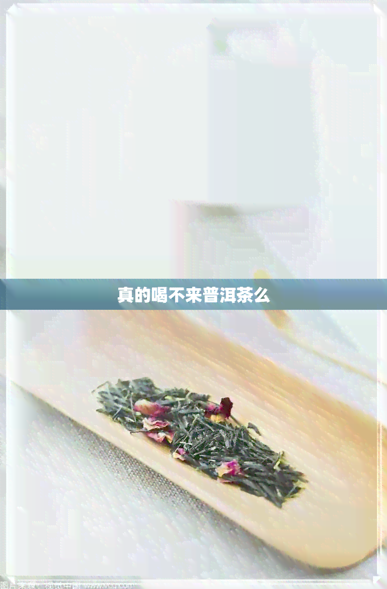 真的喝不来普洱茶么