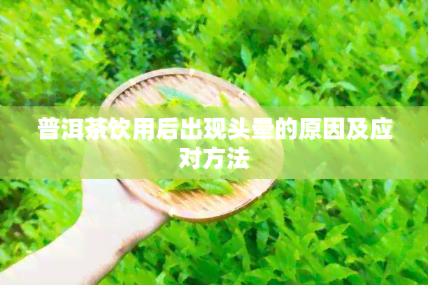 普洱茶饮用后出现头晕的原因及应对方法