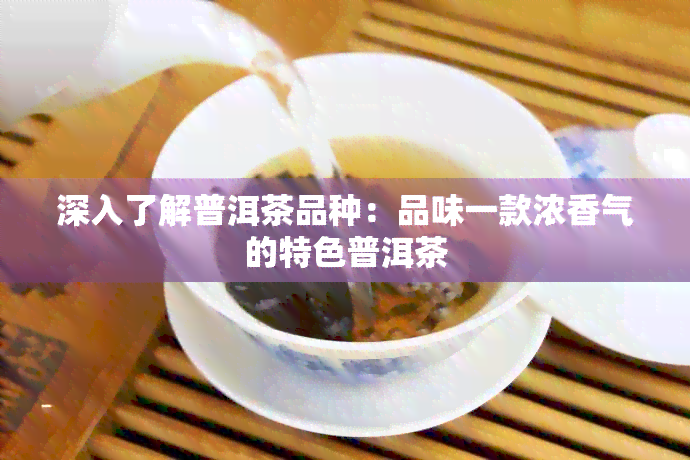 深入了解普洱茶品种：品味一款浓香气的特色普洱茶