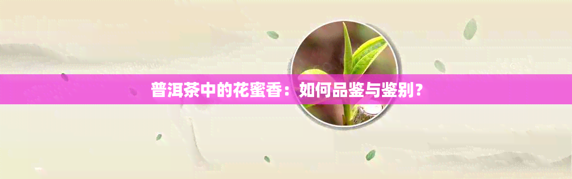 普洱茶中的花蜜香：如何品鉴与鉴别？