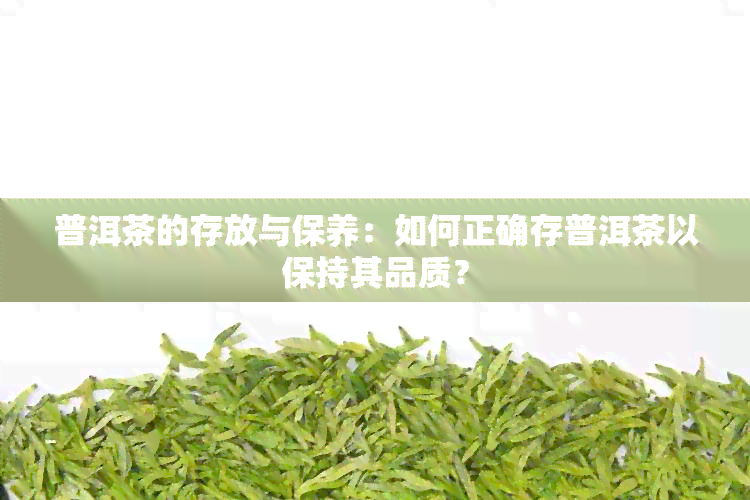 普洱茶的存放与保养：如何正确存普洱茶以保持其品质？