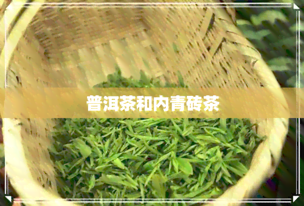 普洱茶和内青砖茶