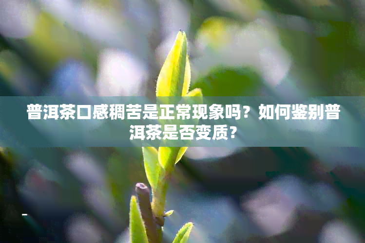 普洱茶口感稠苦是正常现象吗？如何鉴别普洱茶是否变质？